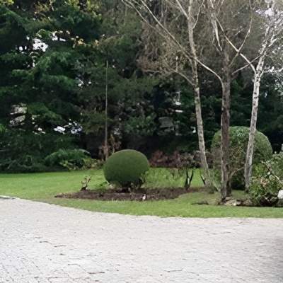 Paysagiste création Lyon