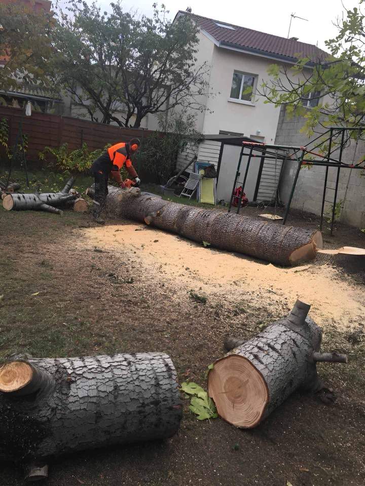 Abattage d’arbres Lyon