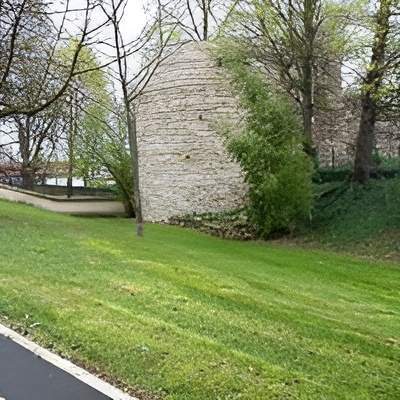 Engazonnement de jardin Lyon