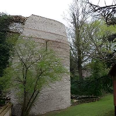 Entretien des arbres Lyon
