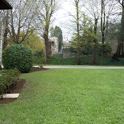 Création d’espaces verts Lyon