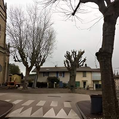 Service d’élagage Lyon