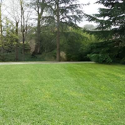 Création de pelouse Lyon