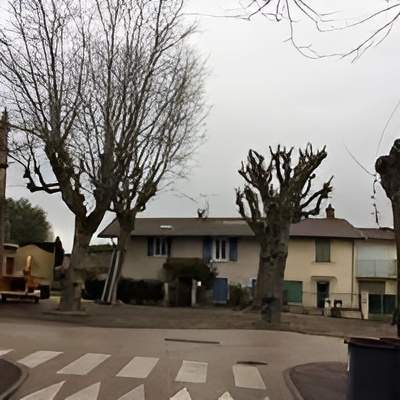 Entreprise d’élagage Lyon