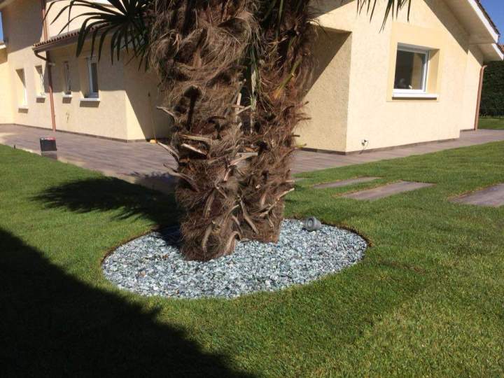 Entretien d'arbres, Villeurbanne